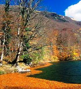 Biogradska Gora National Park Montenegro forest and lake
