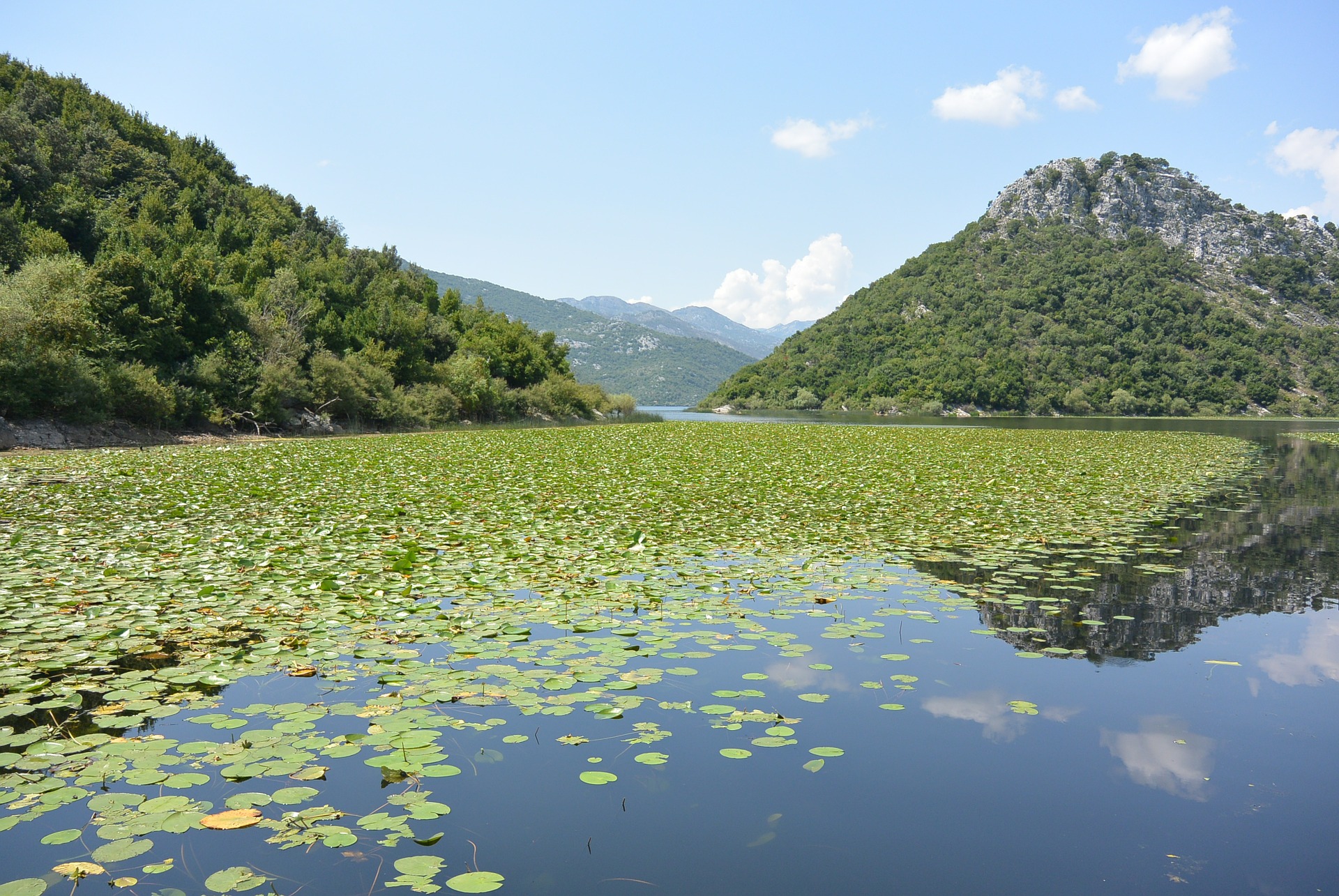 Lake Skadar National Park Montenegro lake landscape